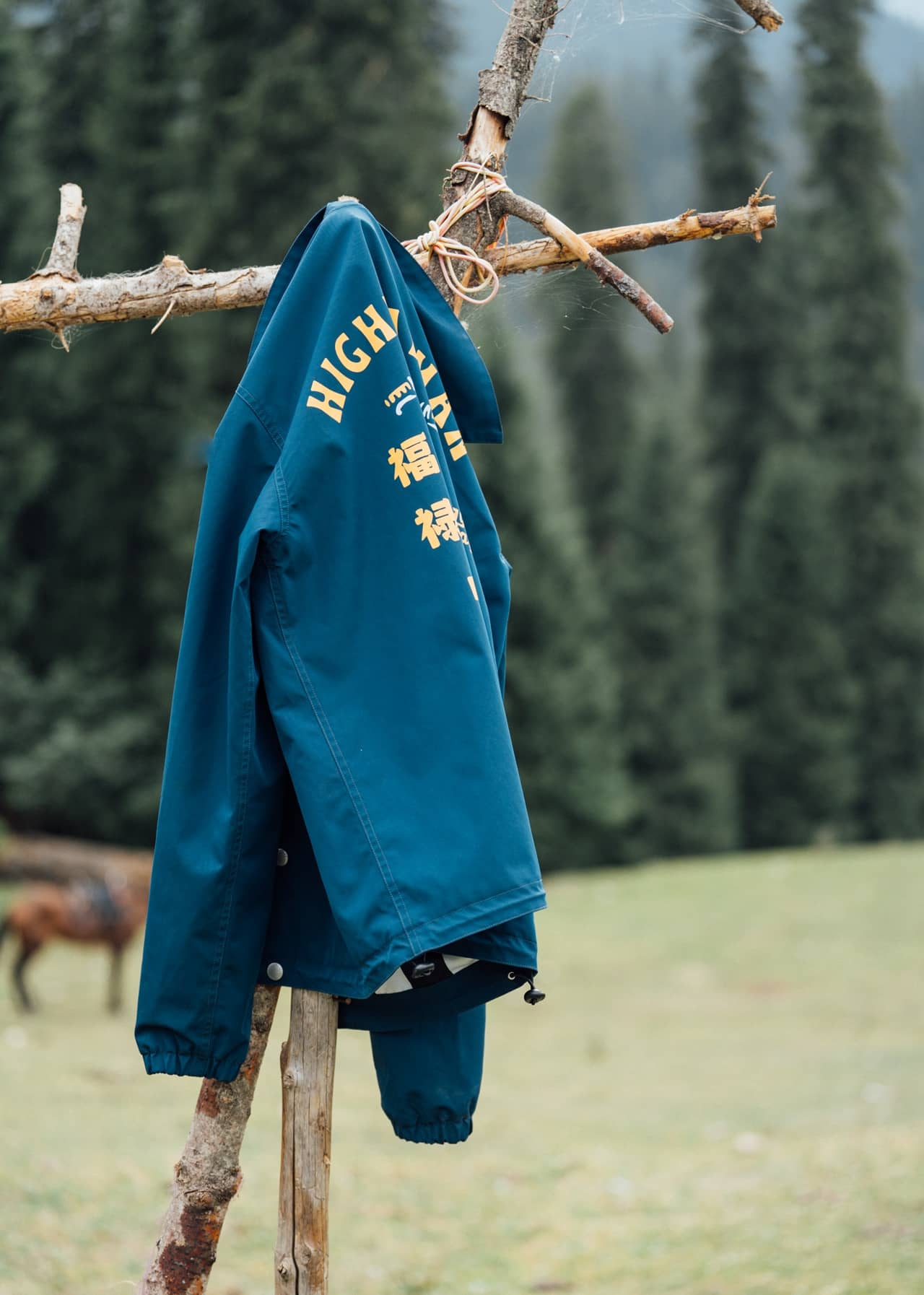 Coach Jacket - Blue - Image 4