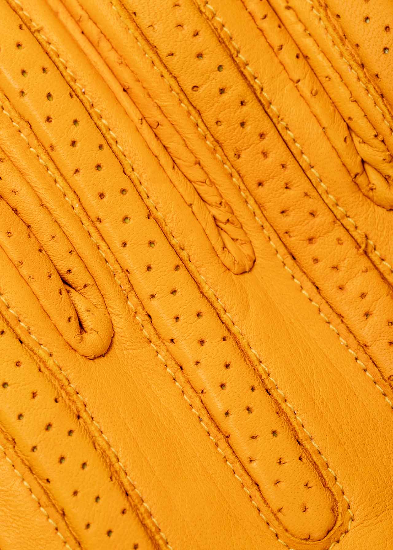 ETHIOPIA RASDASHEN Gloves - Yellow - Image 4
